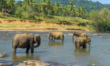Sri Lanka