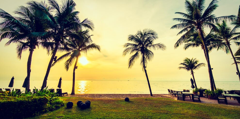 Image Credit Freepik